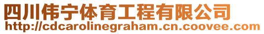 四川偉寧體育工程有限公司