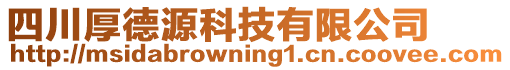 四川厚德源科技有限公司