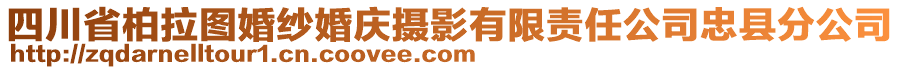 四川省柏拉圖婚紗婚慶攝影有限責(zé)任公司忠縣分公司