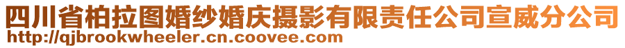 四川省柏拉圖婚紗婚慶攝影有限責(zé)任公司宣威分公司