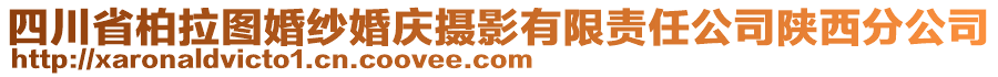 四川省柏拉圖婚紗婚慶攝影有限責任公司陜西分公司