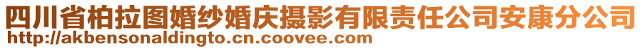 四川省柏拉圖婚紗婚慶攝影有限責(zé)任公司安康分公司