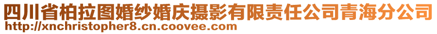 四川省柏拉圖婚紗婚慶攝影有限責(zé)任公司青海分公司