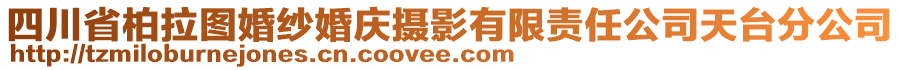 四川省柏拉圖婚紗婚慶攝影有限責(zé)任公司天臺(tái)分公司