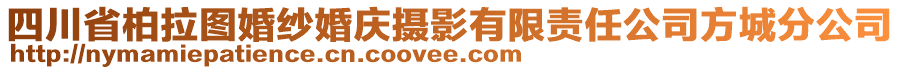 四川省柏拉圖婚紗婚慶攝影有限責任公司方城分公司