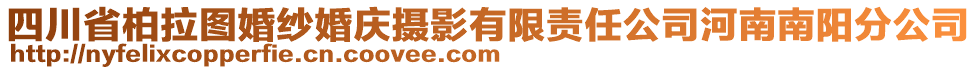 四川省柏拉圖婚紗婚慶攝影有限責(zé)任公司河南南陽分公司