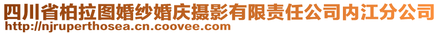 四川省柏拉圖婚紗婚慶攝影有限責(zé)任公司內(nèi)江分公司