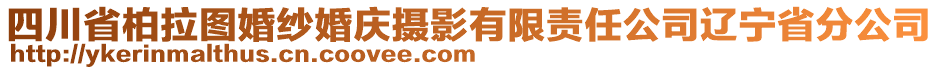 四川省柏拉圖婚紗婚慶攝影有限責(zé)任公司遼寧省分公司