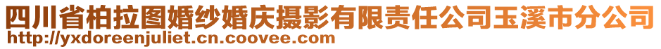 四川省柏拉圖婚紗婚慶攝影有限責(zé)任公司玉溪市分公司