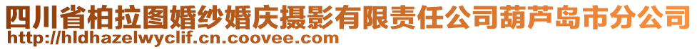 四川省柏拉圖婚紗婚慶攝影有限責(zé)任公司葫蘆島市分公司