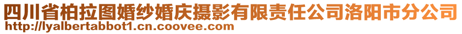 四川省柏拉圖婚紗婚慶攝影有限責任公司洛陽市分公司