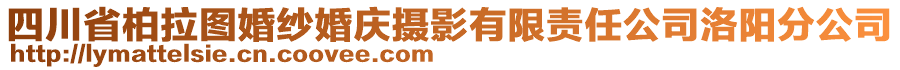 四川省柏拉圖婚紗婚慶攝影有限責任公司洛陽分公司