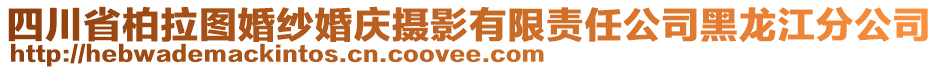 四川省柏拉圖婚紗婚慶攝影有限責(zé)任公司黑龍江分公司