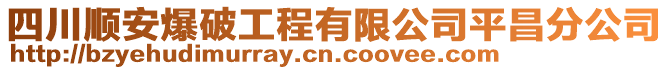 四川順安爆破工程有限公司平昌分公司