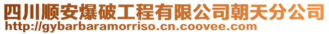 四川順安爆破工程有限公司朝天分公司