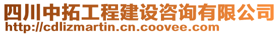 四川中拓工程建設(shè)咨詢(xún)有限公司