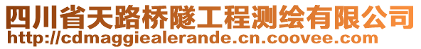 四川省天路橋隧工程測(cè)繪有限公司