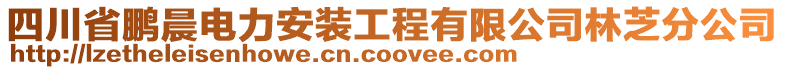 四川省鵬晨電力安裝工程有限公司林芝分公司