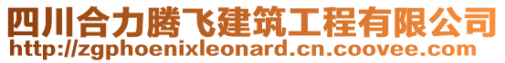 四川合力騰飛建筑工程有限公司