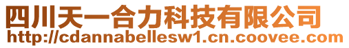 四川天一合力科技有限公司