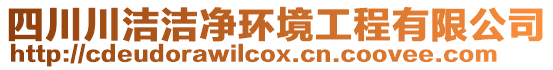 四川川潔潔凈環(huán)境工程有限公司