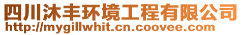 四川沐豐環(huán)境工程有限公司