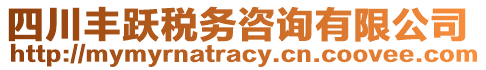 四川豐躍稅務(wù)咨詢有限公司