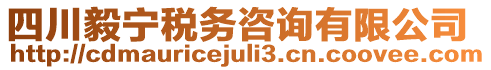 四川毅寧稅務(wù)咨詢有限公司