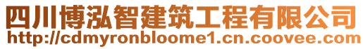 四川博泓智建筑工程有限公司