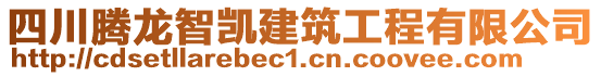 四川騰龍智凱建筑工程有限公司