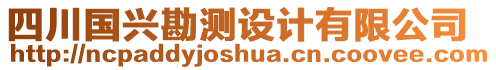 四川國(guó)興勘測(cè)設(shè)計(jì)有限公司