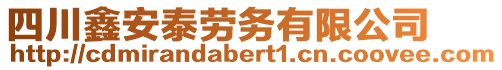 四川鑫安泰勞務(wù)有限公司