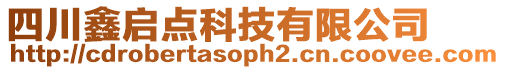 四川鑫啟點科技有限公司