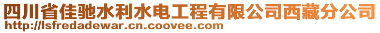 四川省佳馳水利水電工程有限公司西藏分公司