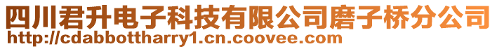 四川君升電子科技有限公司磨子橋分公司