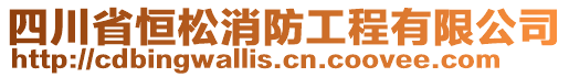 四川省恒松消防工程有限公司