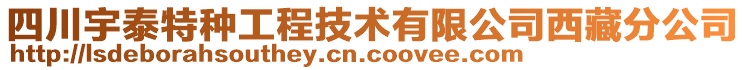 四川宇泰特種工程技術(shù)有限公司西藏分公司