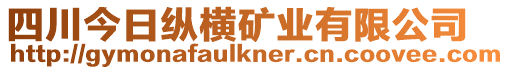 四川今日縱橫礦業(yè)有限公司