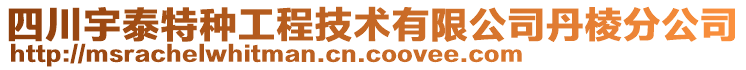 四川宇泰特種工程技術有限公司丹棱分公司