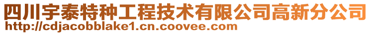 四川宇泰特种工程技术有限公司高新分公司