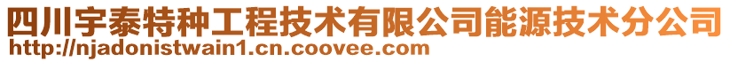 四川宇泰特種工程技術有限公司能源技術分公司