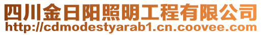 四川金日陽照明工程有限公司