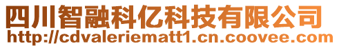 四川智融科億科技有限公司