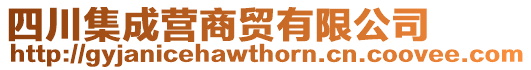四川集成營商貿有限公司