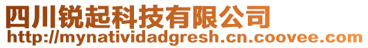 四川銳起科技有限公司