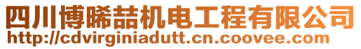 四川博晞喆機(jī)電工程有限公司