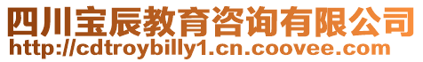 四川寶辰教育咨詢有限公司