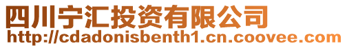 四川寧匯投資有限公司