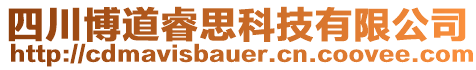 四川博道睿思科技有限公司