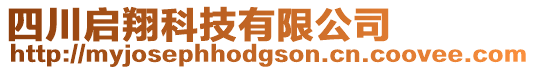 四川啟翔科技有限公司